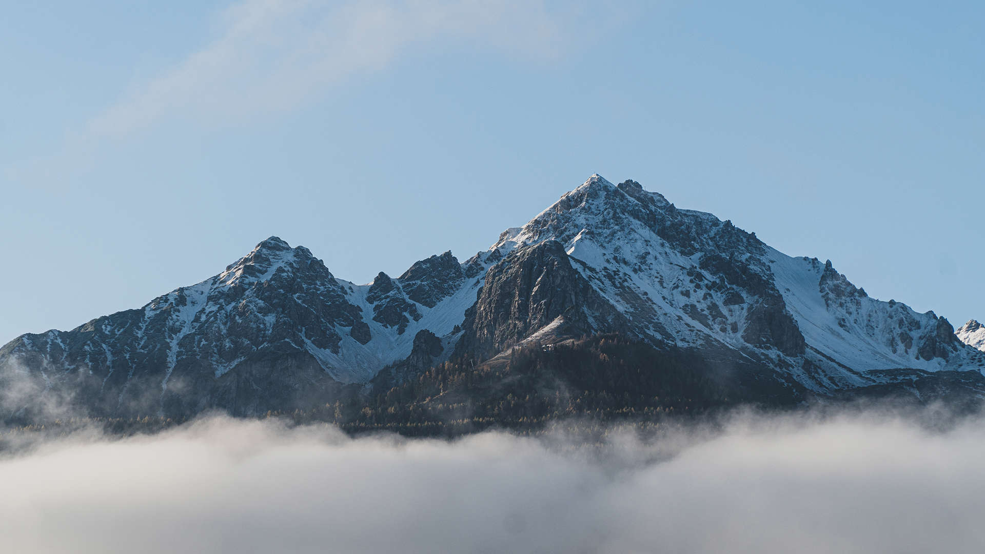 организация мероприятий